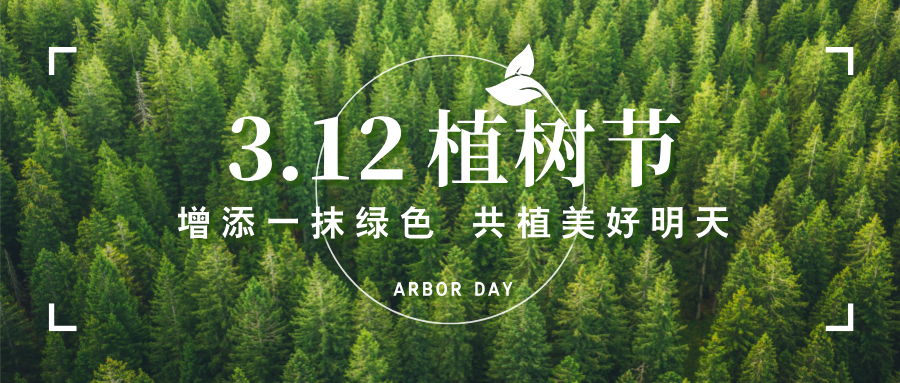 3.12ֲ|NSD3CTPSնۺϵװΪ “ֲ” ɫ»